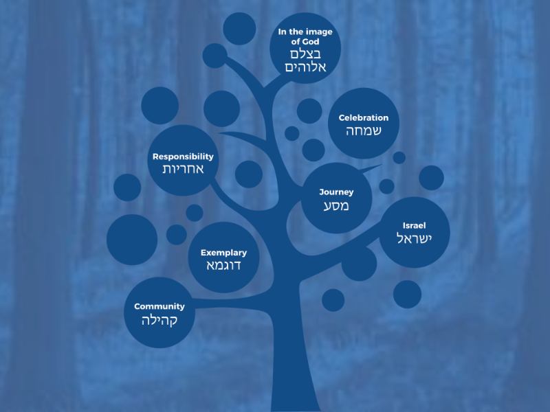 Schechter_Values