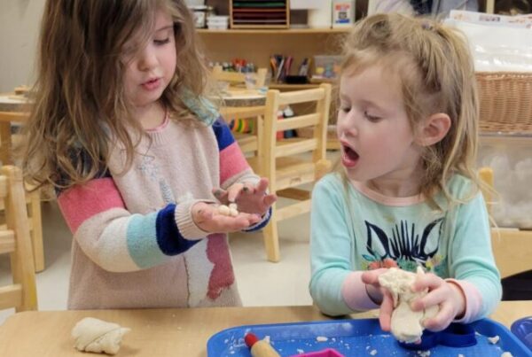 Solomon Schechter Day School Chicago